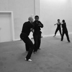 Pencak Silat - Seni entre Jérôme et Mahéry