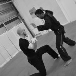 Pencak Silat - Jérôme et Mahéry en plein Seni