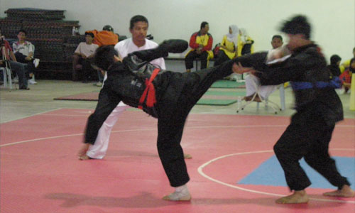 Olah Raga coup de pied Silat Fatani - Culture-Silat