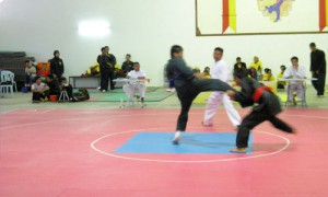 Olah raga coup de pied Silat fatani - Culture-Silat