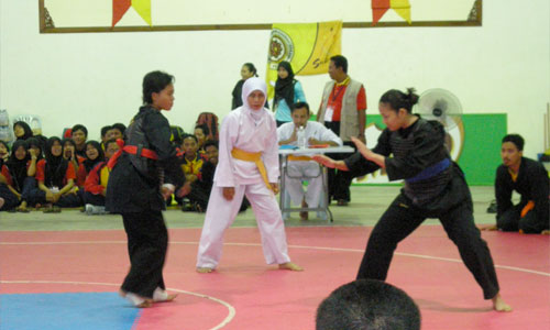 OLah Raga Seni Gayung Fatani Fille - Culture-Silat