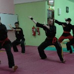 Bunga Merah - Culture-Silat