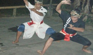 Fin demo Silat Pulut - Culture-Silat