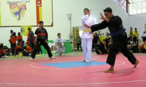 Nizam olah raga silat fatani - Culture-SIlat