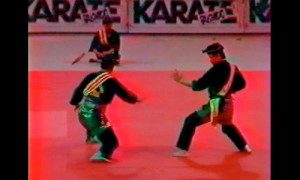 Penchak Silat - silat gayong malaysia - technique