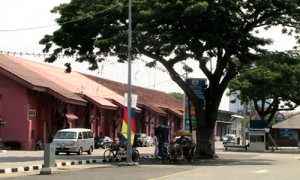 Melaka - Arbre emblême de la ville - Culture-Silat