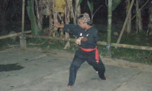 Bunga Merah Silat Fatani village - Culture-Silat