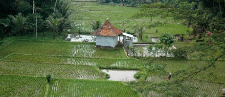 Voyage à Bandung