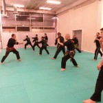 Pencak Silat - Sejajar