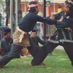 Penchak Silat - Seni Pencak Silat Gayung Fatani Malaysia