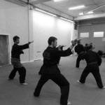 Pencak Silat - Jurus Seni Gayung Fatani, version noir et blanc