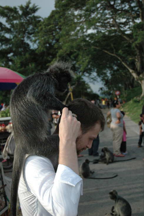 audran le guillou done à manger aux singes en malaisie