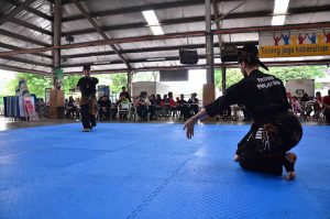 Compétition Silat Seni (8)