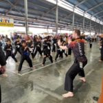 Culture SIlat - Stage de Silat en Malaisie 2022 - Kompleks Muhibbah (3)