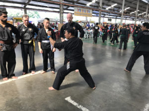 Culture Silat - Carnet de Voyage 218 - Entraînements au Kompleks Muhibbah (2)