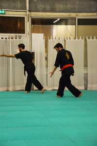 culture-silat-cours-de-pencak-silat-traditionnel-a-paris-novembre-2106-25