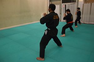 culture-silat-cours-de-pencak-silat-traditionnel-a-paris-novembre-2106-6