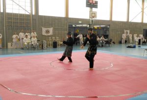 Culture Silat - Cérémonie d'Ouverture Open Silat 2016 (13)