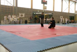 Culture Silat - Cérémonie d'Ouverture Open Silat 2016 (15)