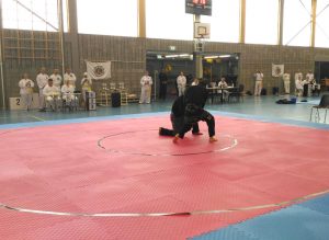 Culture Silat - Cérémonie d'Ouverture Open Silat 2016 (4)