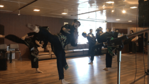 Culture Silat - Démo Silat - Délégation Permanente de la Malaisie à l'UNESCO - 2018 (23)