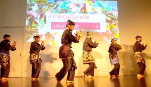 Culture Silat - Démo Silat Seni Gayung Fatani - Inalculturelle 2017 (10)