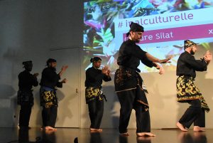 Culture Silat - Démo Silat Seni Gayung Fatani - Inalculturelle 2017 (9)