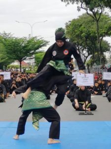 Culture Silat - Démo de Silat Fatani - Himpunan KCH 2018 (11)