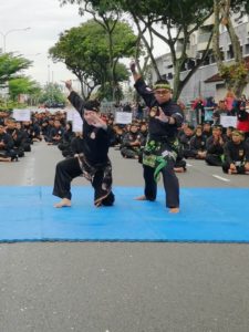 Culture Silat - Démo de Silat Fatani - Himpunan KCH 2018 (19)