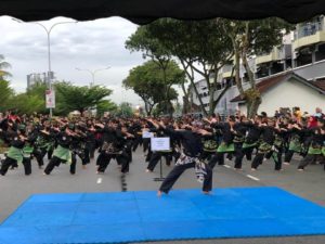 Culture Silat - Démo de Silat Fatani - Himpunan KCH 2018 (2)