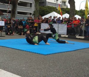 Culture Silat - Démo de Silat Fatani - Himpunan KCH 2018 (21)