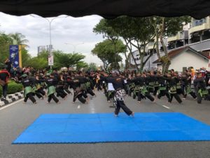 Culture Silat - Démo de Silat Fatani - Himpunan KCH 2018 (3)