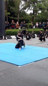 Culture Silat - Démo de Silat Fatani - Himpunan KCH 2018 (4)