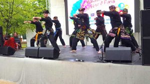 Culture Silat - Démonstration de Silat Seni Gayung Fatani - La Malaisie en Fête 2017 (59)