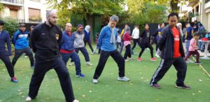 Culture Silat - Hari Sukan Negara 2018 - Rumah Malaysia Paris (2)