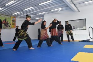 Culture Silat & PSMN - Hari Kampung Melayu - Seni Gayung Fatani (5)