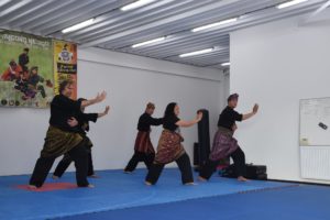 Culture Silat & PSMN - Hari Kampung Melayu - Seni Gayung Fatani (7)