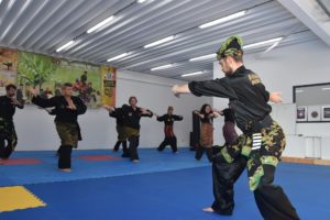 Culture Silat & PSMN - Hari Kampung Melayu - Seni Gayung Fatani (9)