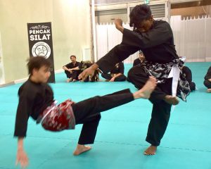 Culture Silat - Passage de grade 2015-2016 - Seni Gayung Fatani Malaysia (23)