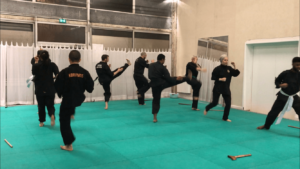 Culture Silat - Répétition Démo Forum des Communautés - 2018 (14)