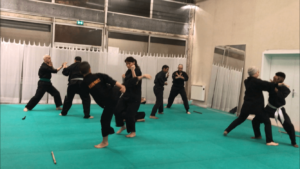 Culture Silat - Répétition Démo Forum des Communautés - 2018 (4)