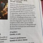 Culture Silat - Silat Gong - Programmation Philharmonie Paris - 2024 (2)
