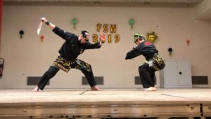 Culture Silat - Silat Seni Gayung Fatani - Festival Seni Malaysia 2019 (32)