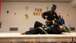 Culture Silat - Silat Seni Gayung Fatani - Festival Seni Malaysia 2019 (8)