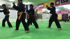 Culture Silat - Stage de Silat en Malaisie 2022 - Cikgu Anuar (1)