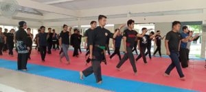 Culture Silat - Stage de Silat en Malaisie 2022 - Cours intensif à Melaka (3)