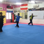 Culture Silat - Stage en Malaisie 2025 - Cours révisions (1)