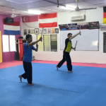 Culture Silat - Stage en Malaisie 2025 - Cours révisions (2)