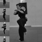 Pencak Silat - Décomposition des mouvements d'un Jurus Silat Fatani