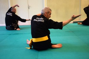 Stage de Pencak Silat traditionnel - Dempok